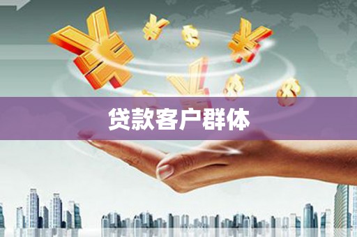 海原贷款客户群体