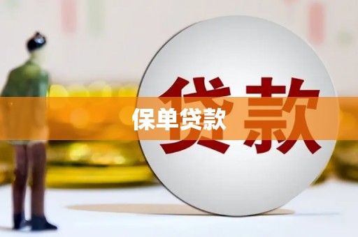 海原保单贷款