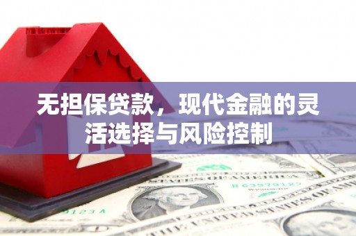 海原无担保贷款，现代金融的灵活选择与风险控制