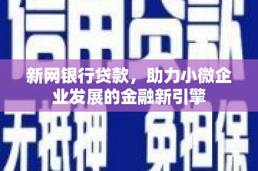 海原新网银行贷款，助力小微企业发展的金融新引擎