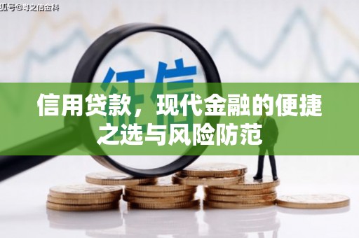 海原信用贷款，现代金融的便捷之选与风险防范