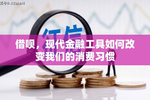 海原借呗，现代金融工具如何改变我们的消费习惯