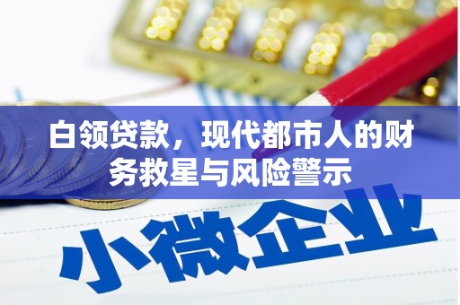 海原白领贷款，现代都市人的财务救星与风险警示
