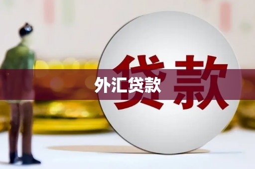 海原外汇贷款