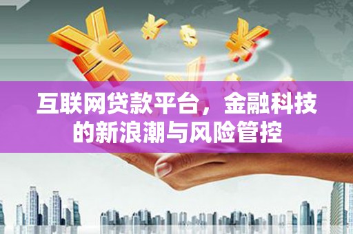 海原互联网贷款平台，金融科技的新浪潮与风险管控