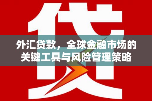 海原外汇贷款，全球金融市场的关键工具与风险管理策略