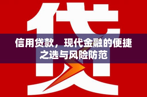 海原信用贷款，现代金融的便捷之选与风险防范