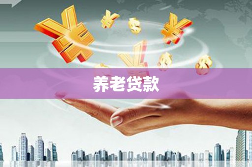 海原养老贷款