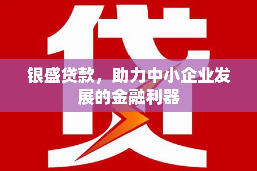 海原银盛贷款，助力中小企业发展的金融利器