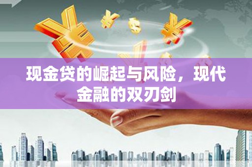海原现金贷的崛起与风险，现代金融的双刃剑