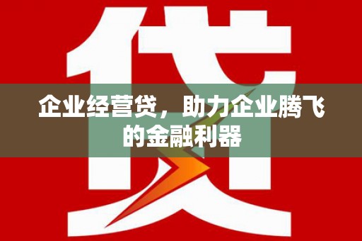 海原企业经营贷，助力企业腾飞的金融利器