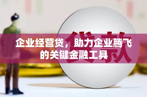 海原企业经营贷，助力企业腾飞的关键金融工具