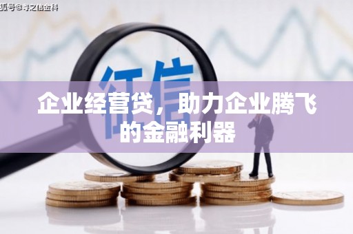 海原企业经营贷，助力企业腾飞的金融利器