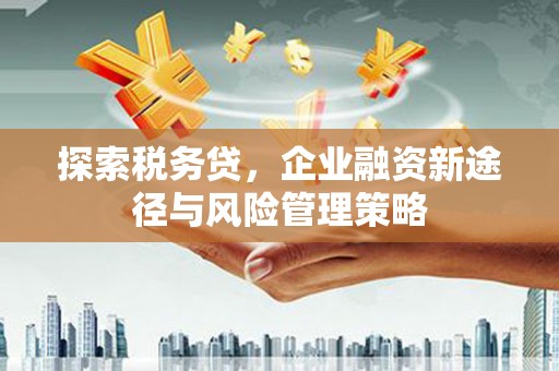 海原探索税务贷，企业融资新途径与风险管理策略