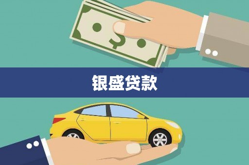 海原银盛贷款