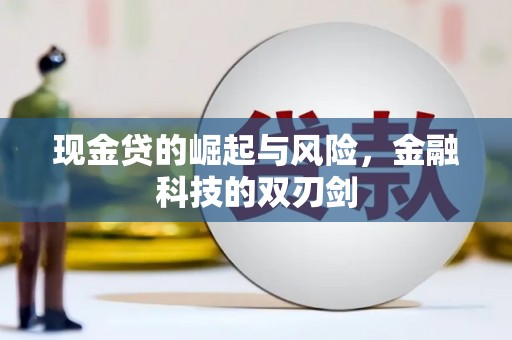 海原现金贷的崛起与风险，金融科技的双刃剑