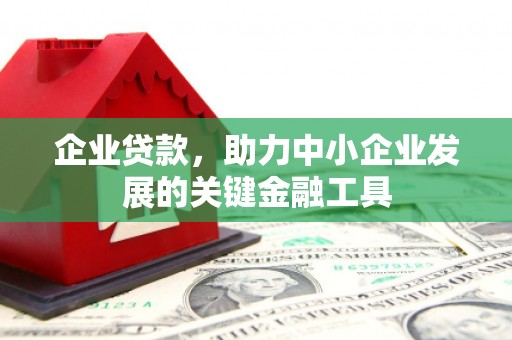 海原企业贷款，助力中小企业发展的关键金融工具