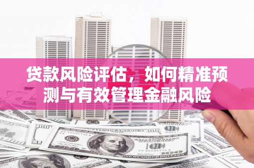 海原贷款风险评估，如何精准预测与有效管理金融风险