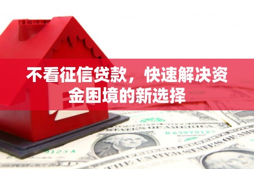 海原不看征信贷款，快速解决资金困境的新选择