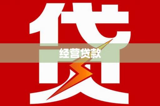 海原经营贷款