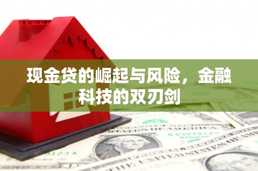海原现金贷的崛起与风险，金融科技的双刃剑