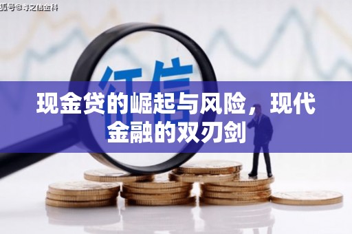 海原现金贷的崛起与风险，现代金融的双刃剑