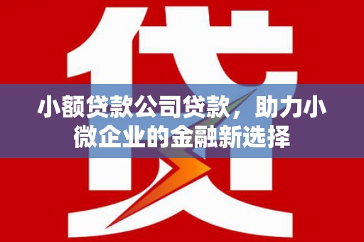 海原小额贷款公司贷款，助力小微企业的金融新选择