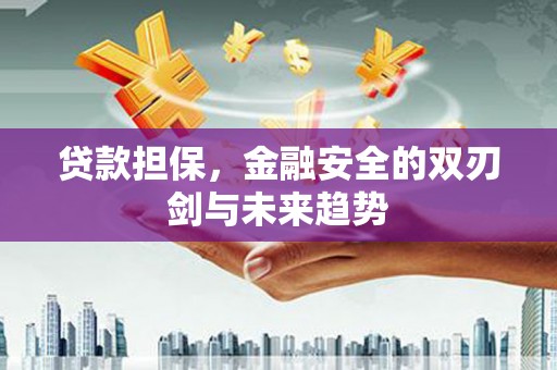 海原贷款担保，金融安全的双刃剑与未来趋势
