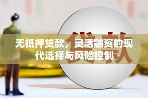 海原无抵押贷款，灵活融资的现代选择与风险控制