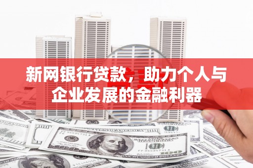 海原新网银行贷款，助力个人与企业发展的金融利器
