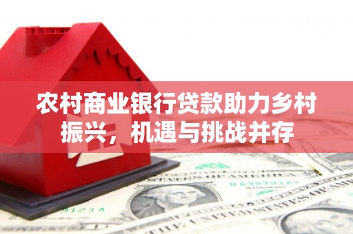 海原农村商业银行贷款助力乡村振兴，机遇与挑战并存