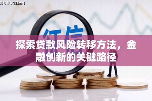 海原探索贷款风险转移方法，金融创新的关键路径