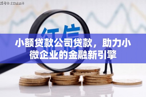 海原小额贷款公司贷款，助力小微企业的金融新引擎