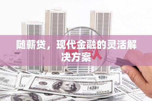 海原随薪贷，现代金融的灵活解决方案