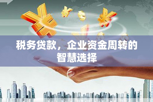 海原税务贷款，企业资金周转的智慧选择