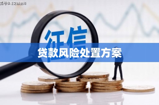 海原贷款风险处置方案