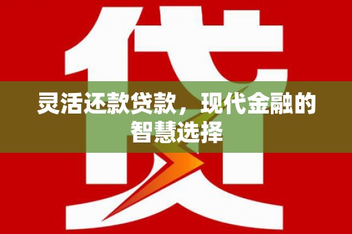 海原灵活还款贷款，现代金融的智慧选择