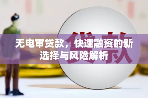 海原无电审贷款，快速融资的新选择与风险解析