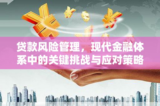 海原贷款风险管理，现代金融体系中的关键挑战与应对策略