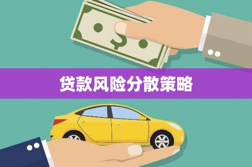 海原贷款风险分散策略