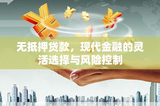 海原无抵押贷款，现代金融的灵活选择与风险控制
