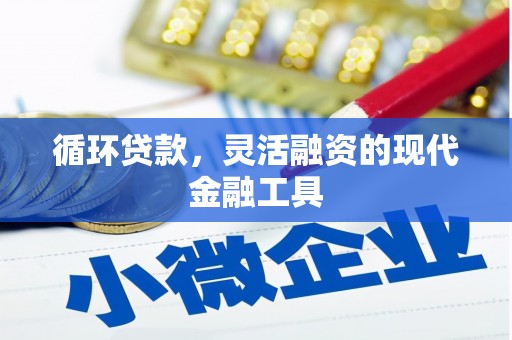 海原循环贷款，灵活融资的现代金融工具