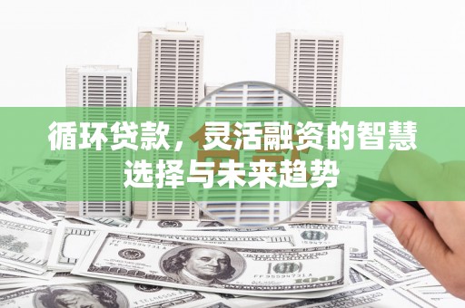 海原循环贷款，灵活融资的智慧选择与未来趋势