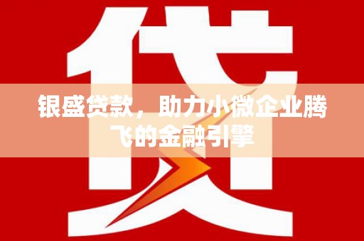 海原银盛贷款，助力小微企业腾飞的金融引擎