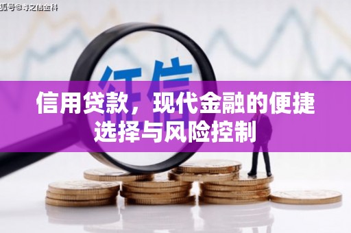 海原信用贷款，现代金融的便捷选择与风险控制