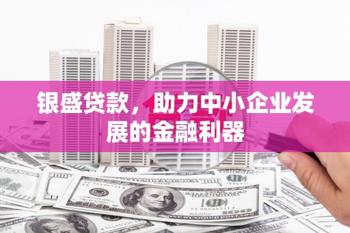 海原银盛贷款，助力中小企业发展的金融利器