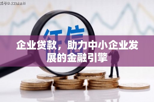 海原企业贷款，助力中小企业发展的金融引擎