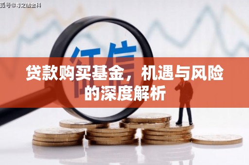 海原贷款购买基金，机遇与风险的深度解析