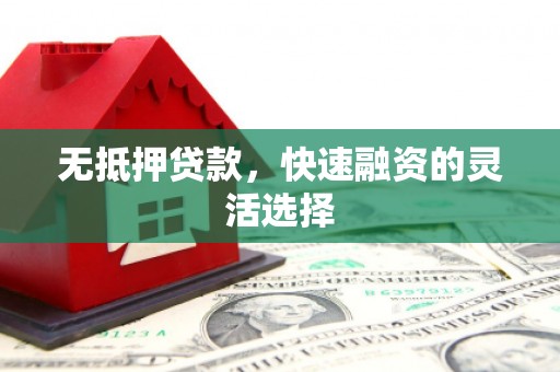 海原无抵押贷款，快速融资的灵活选择