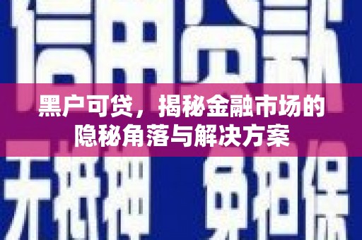 海原黑户可贷，揭秘金融市场的隐秘角落与解决方案